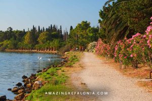 Flora in Kefalonia Greece