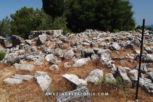 Dangerous snakes and vipers sunbathe location